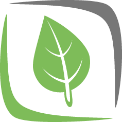 Shrub Care
