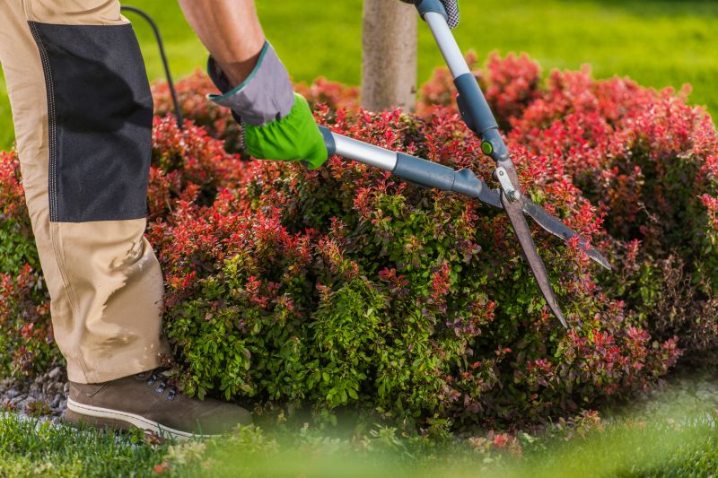 Shrub Care