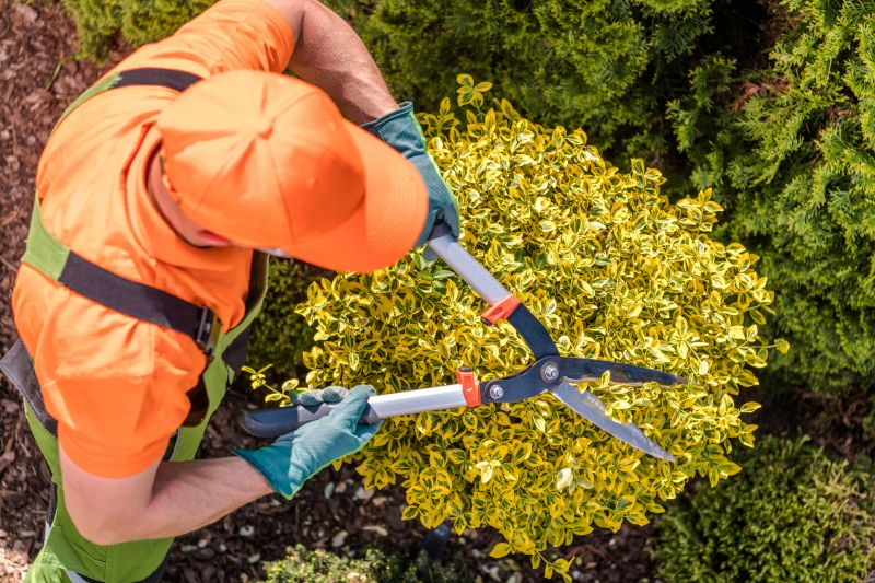 Specialized Tree and Shrub Care Companies