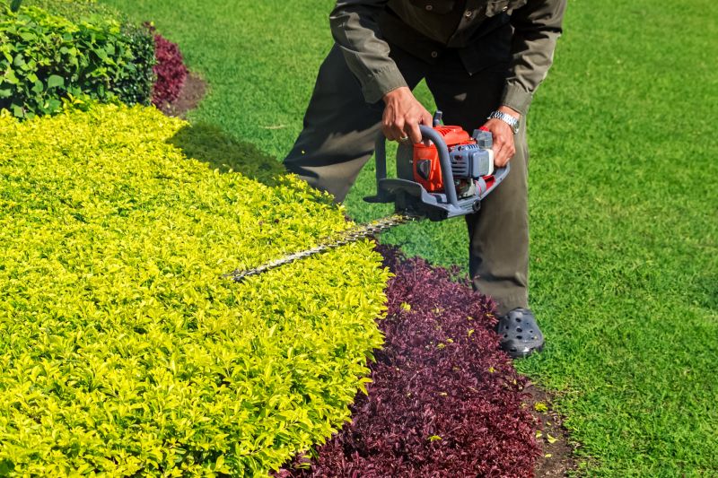 Enhances curb appeal with neatly trimmed, healthy shrubs