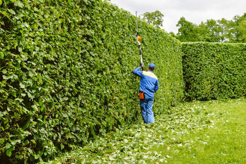 Hedge Trimming