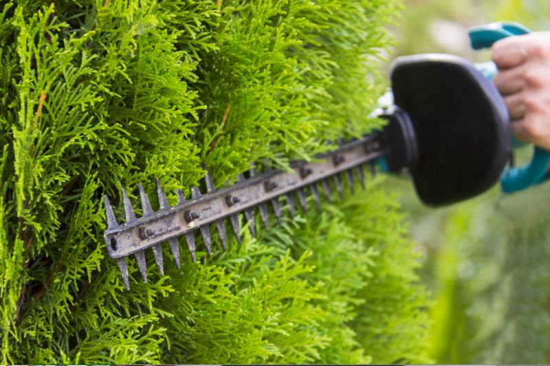 Promotes stronger, more resilient plant growth