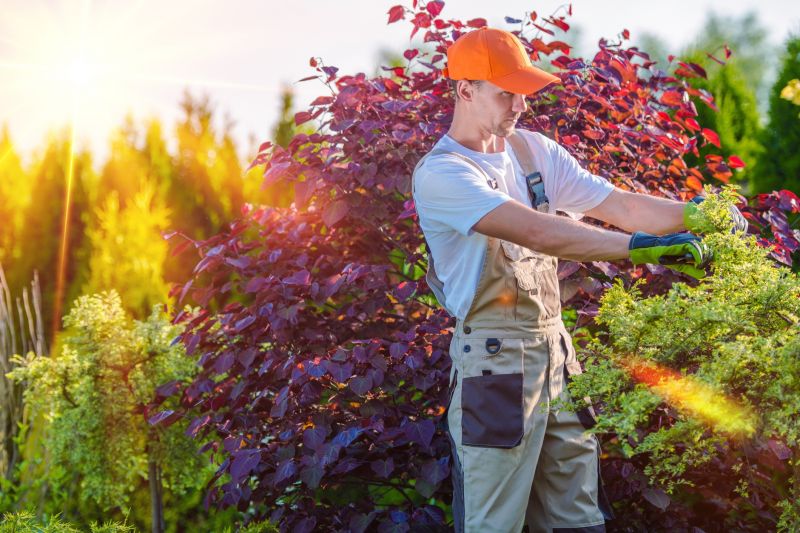 Hedge Care