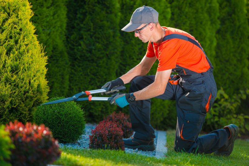 Shrub Trimming